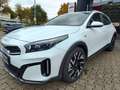 Kia XCeed Vision Komfort AUTOM. KAMERA SHZ LED NEU Weiß - thumbnail 1