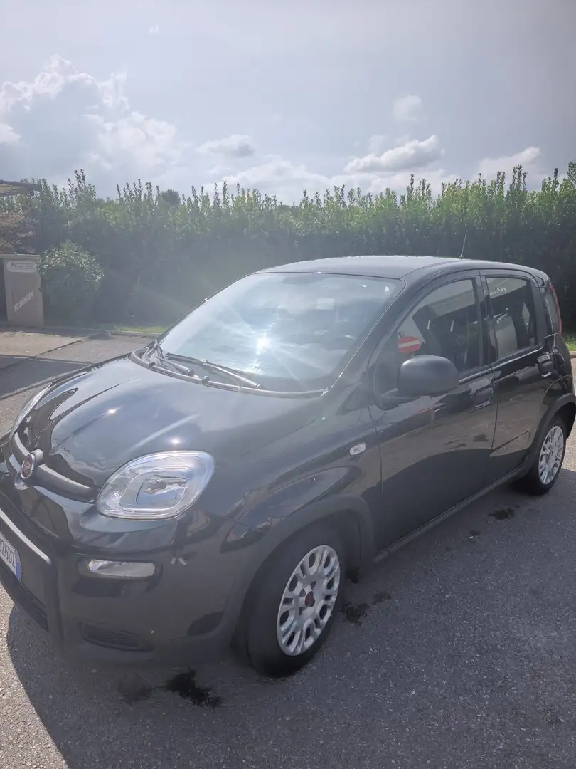 Fiat New Panda - 2