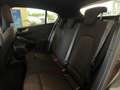 Ford Focus 1.5 EcoBlue 115 CV AUTO 5p. ST-Line - VARI COLORI! Grijs - thumbnail 20