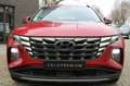 Hyundai TUCSON 1.6 T-GDI HEV Premium Leder/Navi/Carplay/19"/360 C Rojo - thumbnail 6