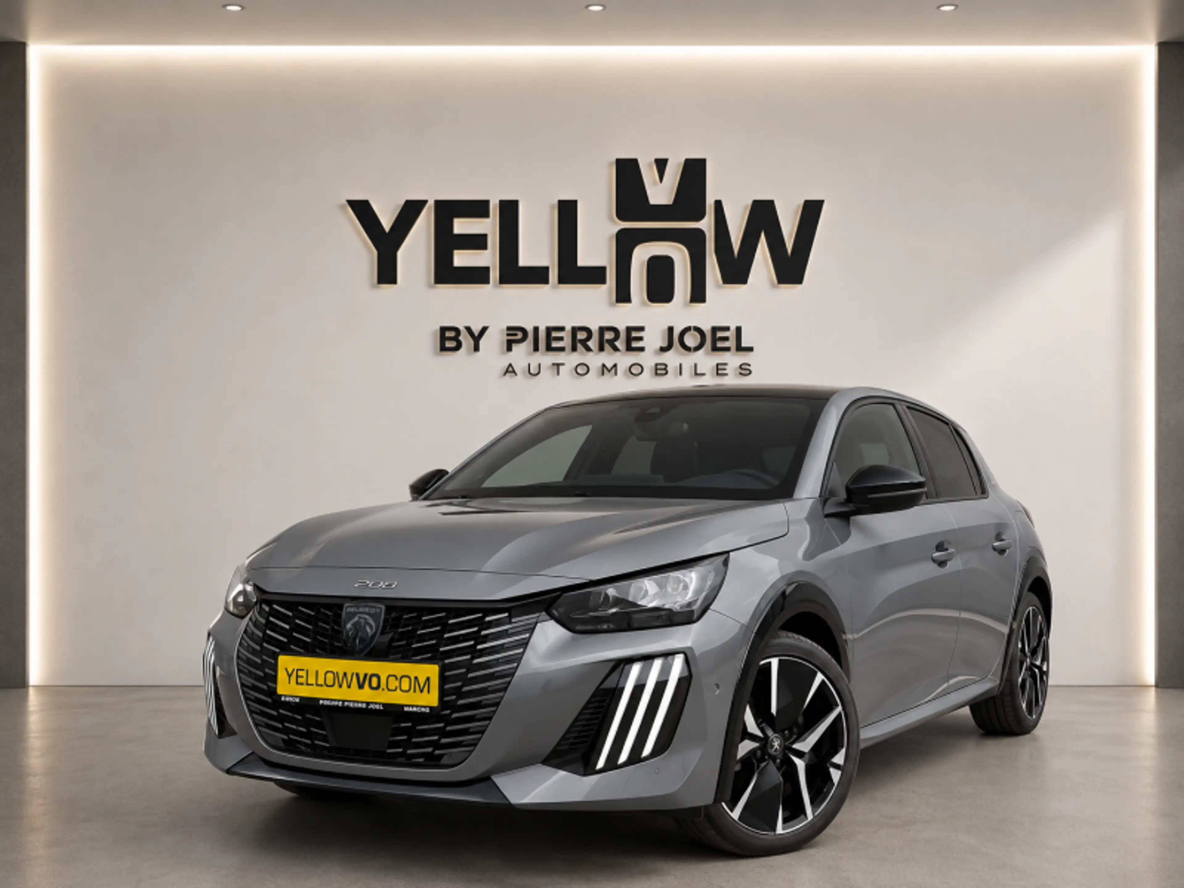 Peugeot 208 GT / Hybrid / E-DSC6