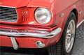 Ford Mustang V8 289 automaat cabriolet Rood - thumbnail 22
