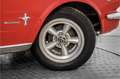 Ford Mustang V8 289 automaat cabriolet Rood - thumbnail 45