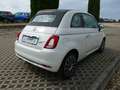 Fiat 500C 1.2 Collezione Weiß - thumbnail 4