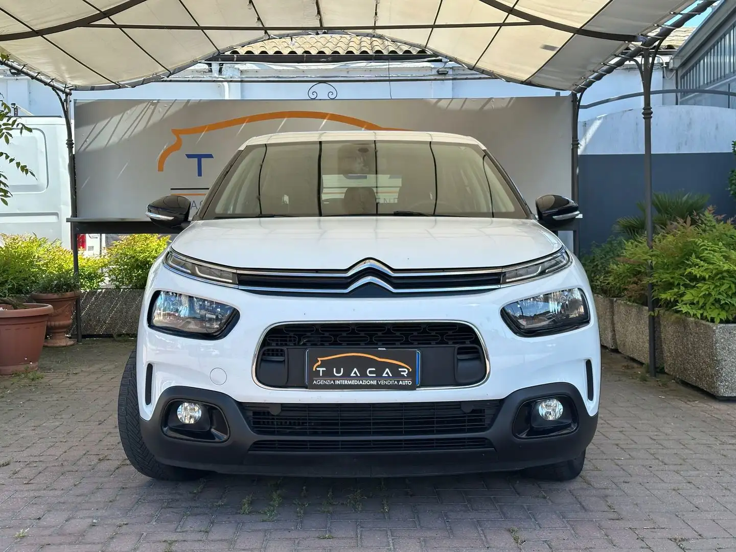 Citroen C4 Cactus Live 1.5 Blue HDi 100 Blanc - 2