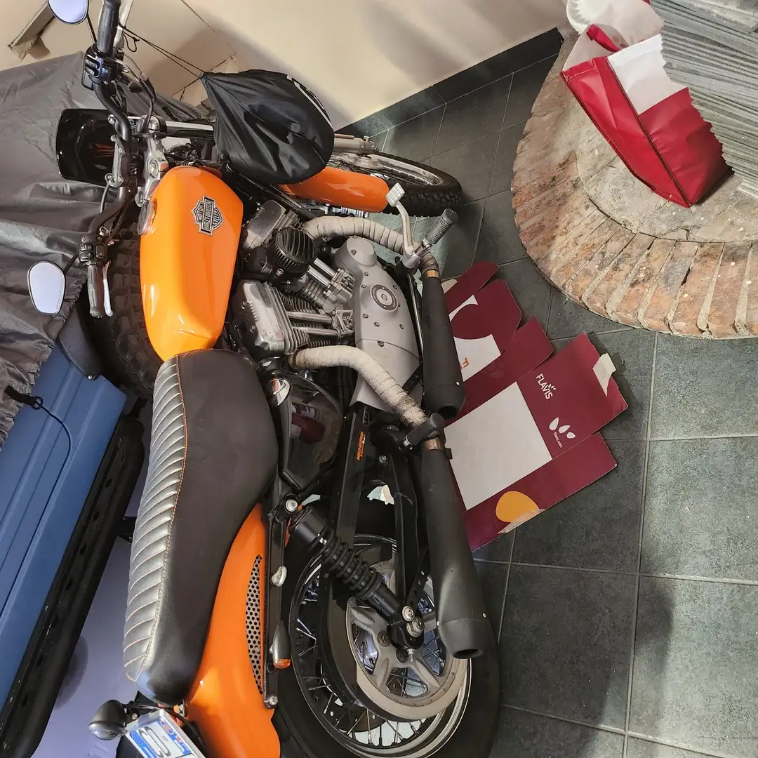 Harley-Davidson Sportster 883 scrambler Pomarańczowy - 1