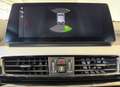 BMW X2 sDr.18i Advantage LED+HUD+AHK+TEMP+AL+SITZH+ Grau - thumbnail 23