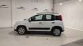 Fiat Panda City Life Hybrid 1.0 Gse 51kw (70CV) Blanco - thumbnail 2