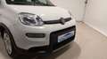 Fiat Panda City Life Hybrid 1.0 Gse 51kw (70CV) Blanco - thumbnail 5