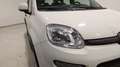 Fiat Panda City Life Hybrid 1.0 Gse 51kw (70CV) Blanco - thumbnail 7