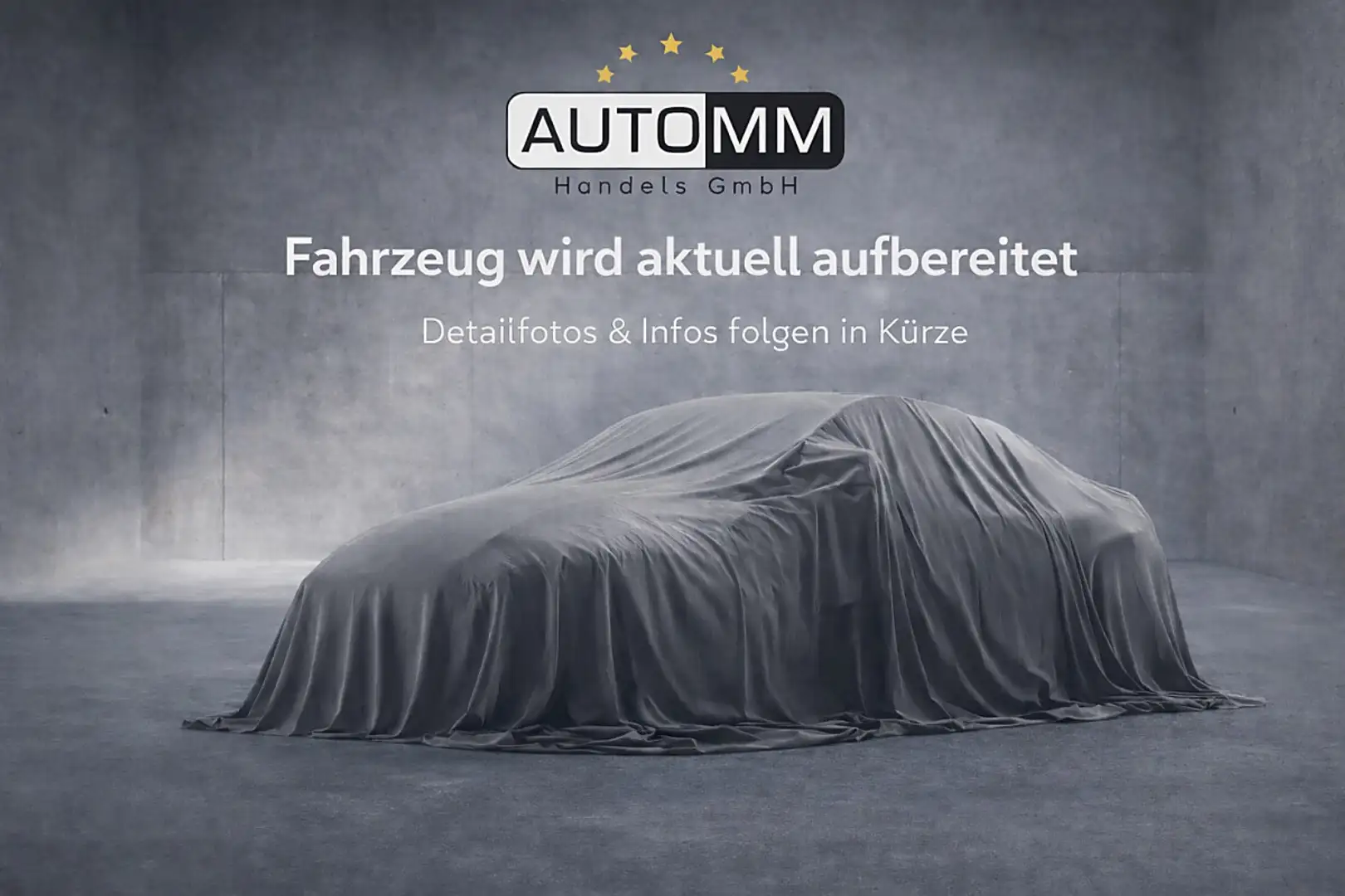 Renault Alaskan Alaskan DK dCi 190 Auto 7-Gang 4WD 25.825€ Netto Weiß - 1