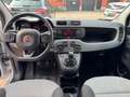 Fiat Panda 1.2 Easy Argent - thumbnail 15