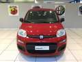 Fiat Panda Panda 1.0 Hybrid ICON - PROMO MESE + TARGA Blanco - thumbnail 7