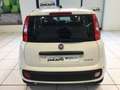 Fiat Panda Panda 1.0 Hybrid ICON - PROMO MESE + TARGA Blanco - thumbnail 17