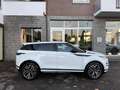 Land Rover Range Rover Evoque Range Rover Evoque 1.5 mhev R-Dynamic SE fwd 160cv Bianco - thumbnail 6