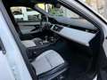 Land Rover Range Rover Evoque Range Rover Evoque 1.5 mhev R-Dynamic SE fwd 160cv Bianco - thumbnail 10