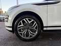 Land Rover Range Rover Evoque Range Rover Evoque 1.5 mhev R-Dynamic SE fwd 160cv Bianco - thumbnail 7