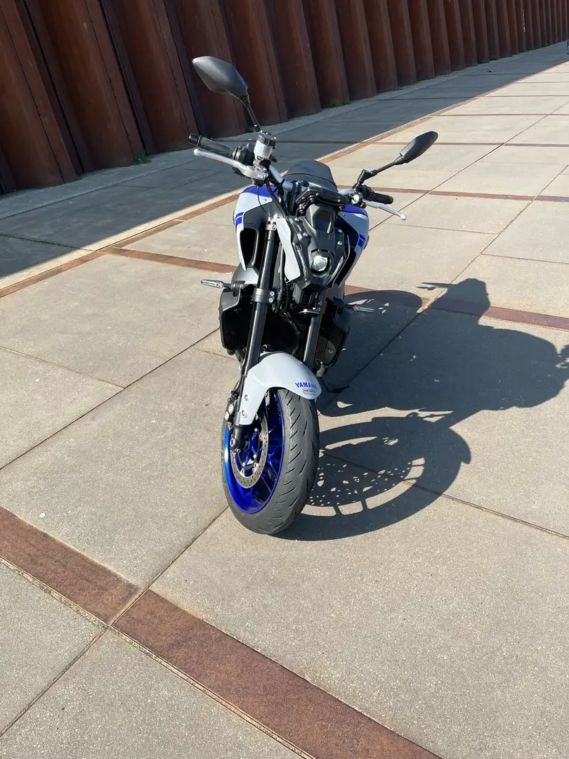 Yamaha MT-09 ABS (BJ 2021) Blauw - 2