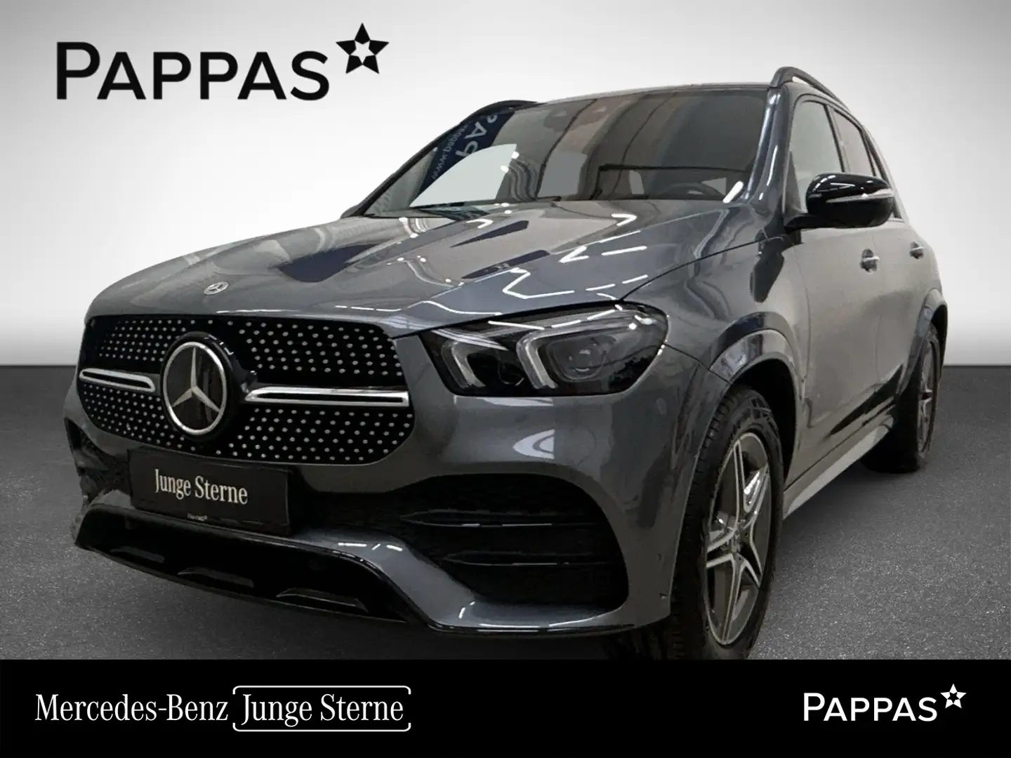 Mercedes-Benz GLE 400 d 4MATIC Distr EASY-PACK Navi SHZ LED Grau - 1