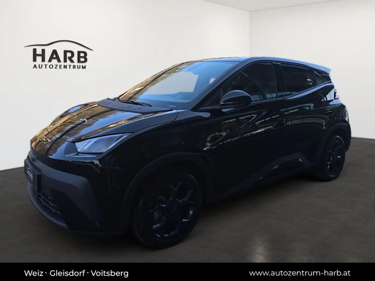 BYD Dolphin Surf Comfort Schwarz - 2