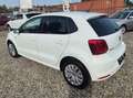 Volkswagen Polo Polo V  5-Türer 1.2 TSI (Blue Motion Original) Weiß - thumbnail 9