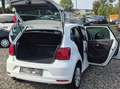 Volkswagen Polo Polo V  5-Türer 1.2 TSI (Blue Motion Original) Weiß - thumbnail 8