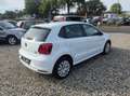 Volkswagen Polo Polo V  5-Türer 1.2 TSI (Blue Motion Original) Weiß - thumbnail 14