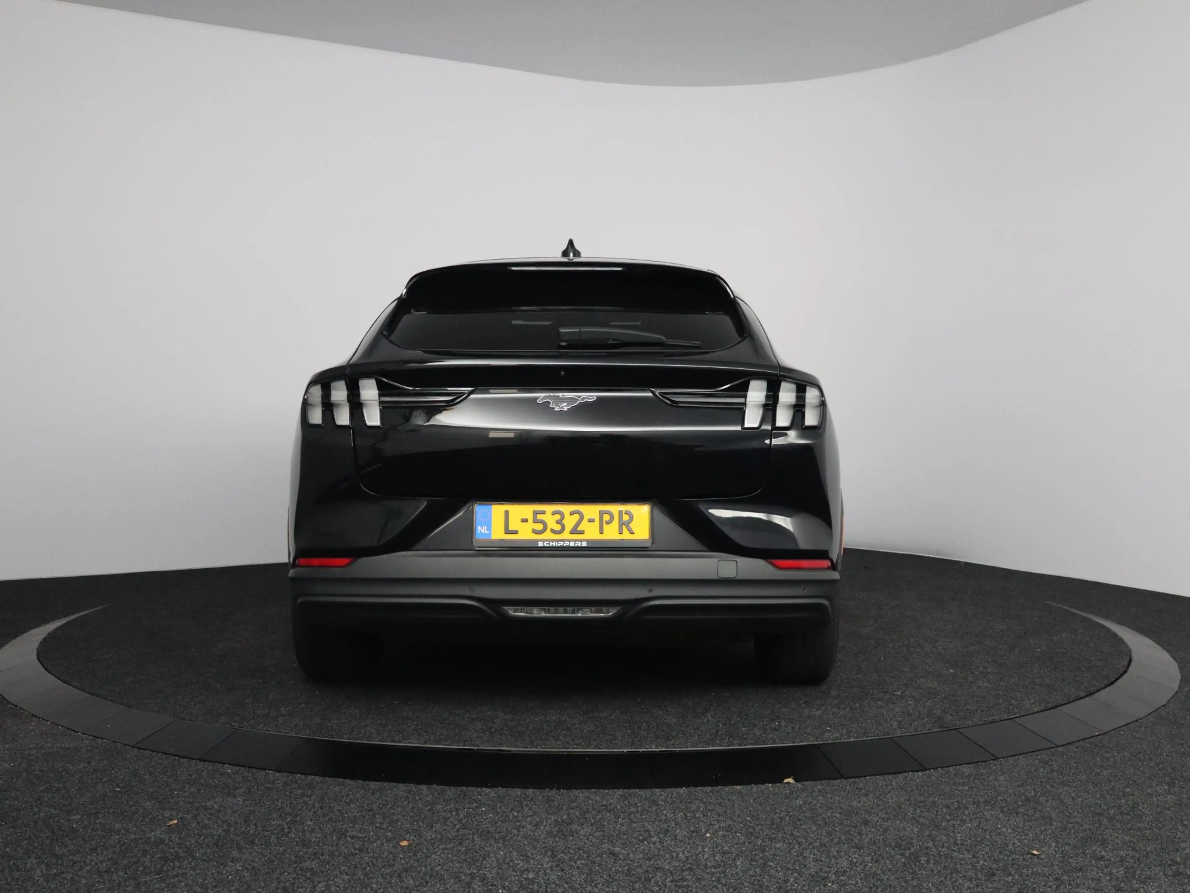 Ford Mustang Mach-E Extended RWD 98 kWh — photo 9