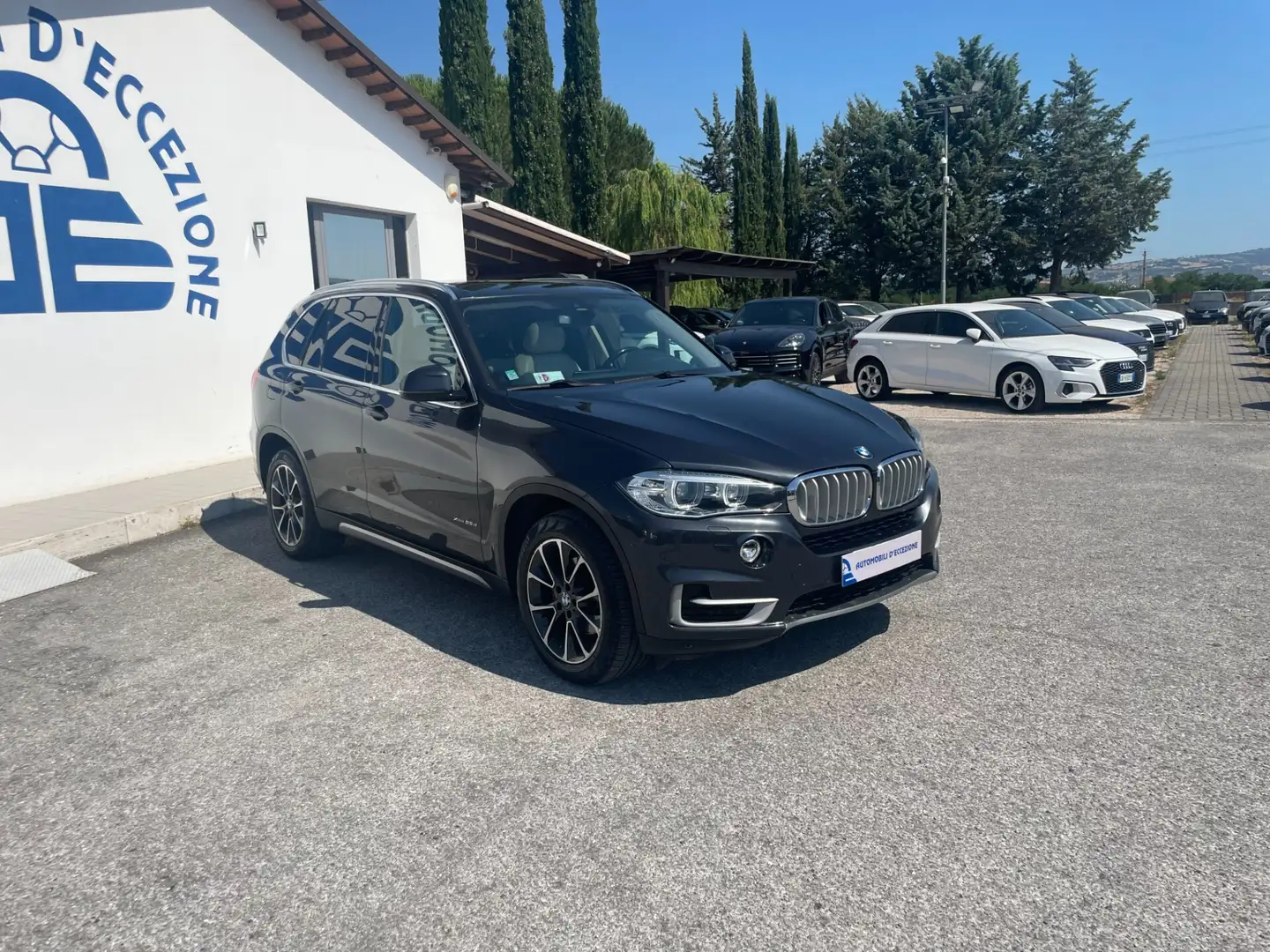 BMW X5 xDrive25d Luxury tetto panor. Grigio - 1