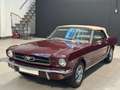 Ford Mustang - thumbnail 7