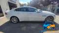 Jaguar XE 2.0 D 240 CV AWD aut. Prestige Blanc - thumbnail 5