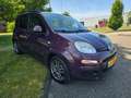 Fiat Panda 0.9 TwinAir Lounge AIRCO *apk:06-2026 Paars - thumbnail 17