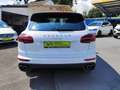 Porsche Cayenne S  HYBRID*1.Hand*Unfallfrei*MWST*333PS Blanc - thumbnail 6