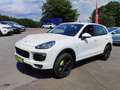 Porsche Cayenne S  HYBRID*1.Hand*Unfallfrei*MWST*333PS Blanc - thumbnail 3