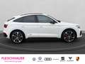 Audi Q5 Sportback 55TFSI e edition one AHK Matrix-LED Weiß - thumbnail 7