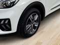 Kia Niro 1.6 PHEV DCT ED7 Blanc - thumbnail 7