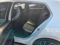Volkswagen Golf VIII Lim. R-Line ACC*Schiebedach*LED*uvm... Weiß - thumbnail 29
