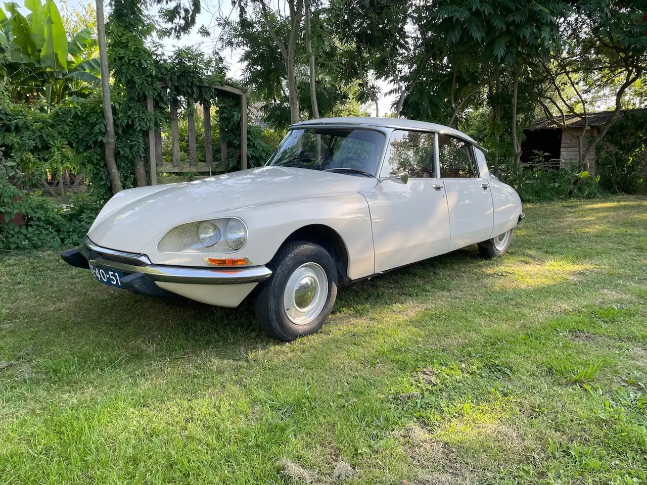 Citroen DS D Super, foto 1