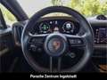 Porsche Cayenne E-Hybrid, Panorama, Luftfederung, Dachreeling, SH Grau - thumbnail 19