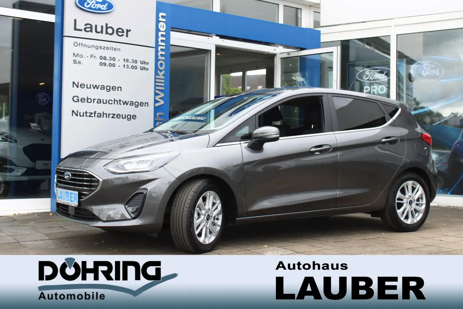 Ford Fiesta Fiesta 1,0 Titanium Assist+Komfort+Winter-Paket Grey - 1