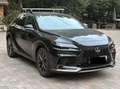 Lexus RX 350h RX 350h E-four F Sport Design Aut. F Sport Design Schwarz - thumbnail 1