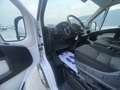 Fiat Ducato L2 H2 2.3 MJT EURO 6D UNIPROPRIETARIO Blanc - thumbnail 12