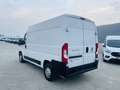 Fiat Ducato L2 H2 2.3 MJT EURO 6D UNIPROPRIETARIO Blanc - thumbnail 7