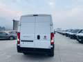 Fiat Ducato L2 H2 2.3 MJT EURO 6D UNIPROPRIETARIO Blanc - thumbnail 6