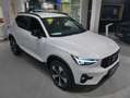 Volvo XC40 B3 Geartr. Plus Dark Weiß - thumbnail 18