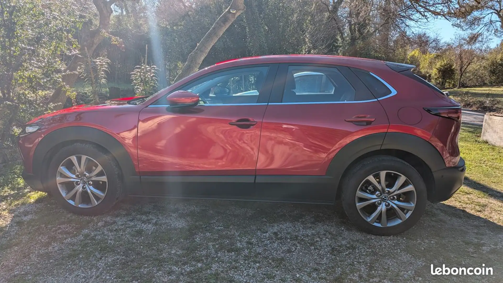 Mazda CX-30 2.0L SKYACTIV-G M Hybrid 122 ch 4x2 BVA6 Style - 2
