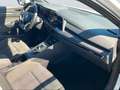 Volkswagen Golf VIII Lim. GTI*NAVI*MATRIX*19ZOLL* Weiß - thumbnail 12