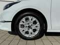 Kia Ceed SW / cee'd SW TOP 1.5 T-GDI AHK+Standheizung+Kamera+SHZ uvm! Weiß - thumbnail 6