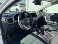 Kia Ceed SW / cee'd SW TOP 1.5 T-GDI AHK+Standheizung+Kamera+SHZ uvm! Weiß - thumbnail 13