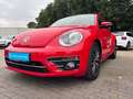 Volkswagen Beetle SOUND 1,2 TSI *PANORAMA-DACH*BLIND-SPOT*KÄFER* Rot - thumbnail 6